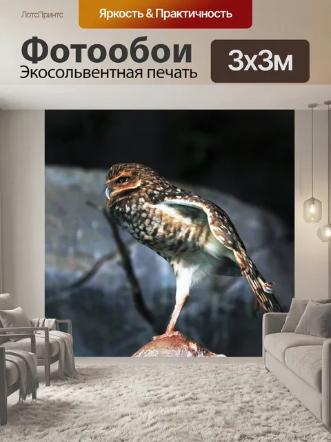 Фотообои Роющая сова растяжка