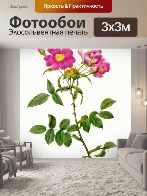 Фотообои Цветочный цветок старинное искусство