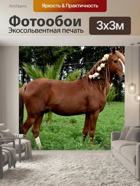 Фотообои Лошади