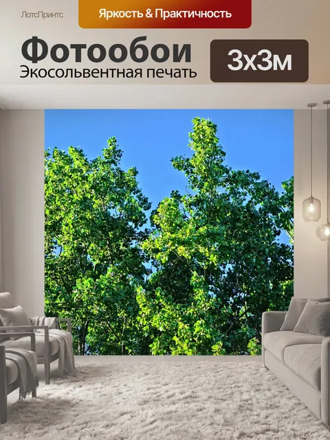 Фотообои Дерево