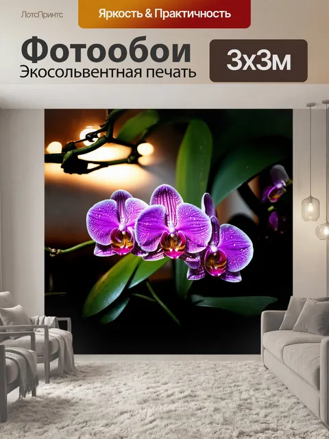 Фотообои великолепная фаленопсис с фиолетовыми цветами, освещённая мягким рассветным светом