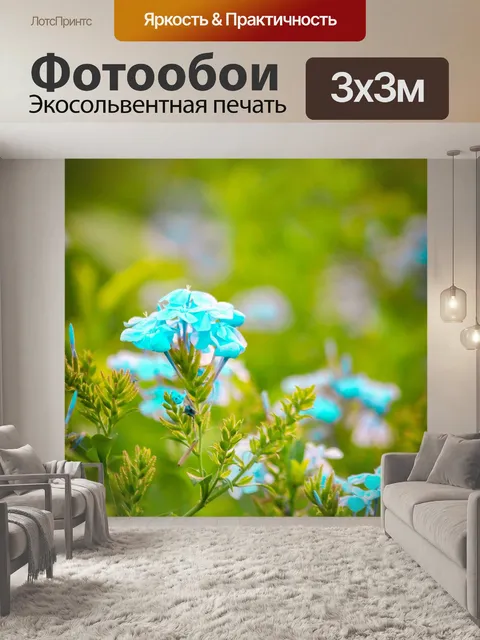 Фотообои Цветы