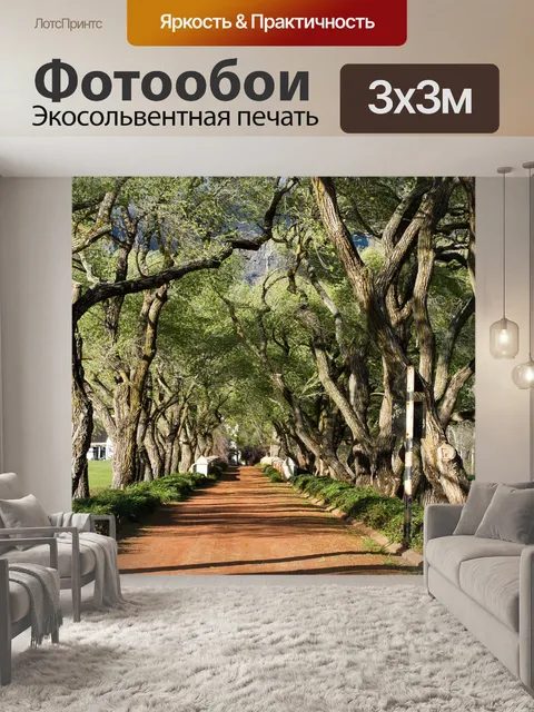 Фотообои Деревья