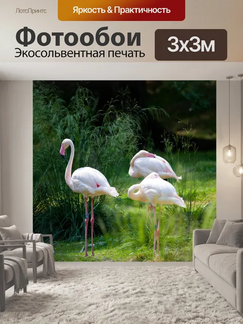 Фотообои фламинго