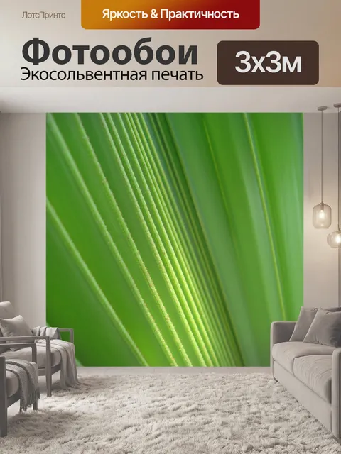 Фотообои Пальмовых листьев фона