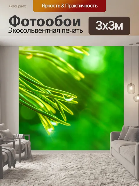 Фотообои зеленые ветки с каплями воды