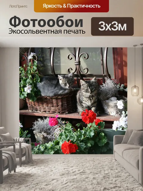 Фотообои Кот