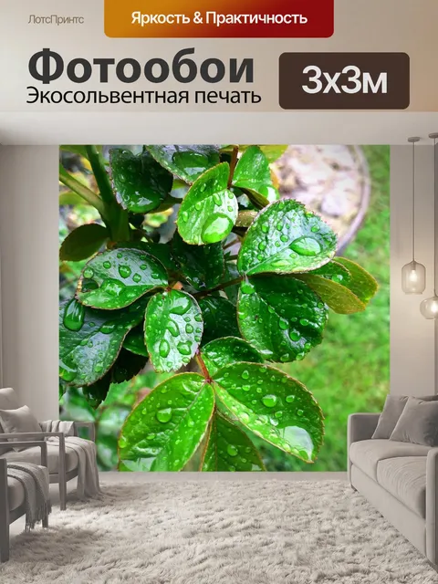 Фотообои Розы