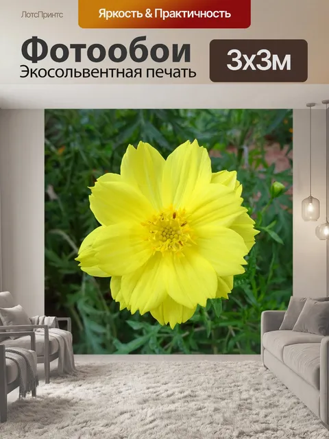 Фотообои Цветок