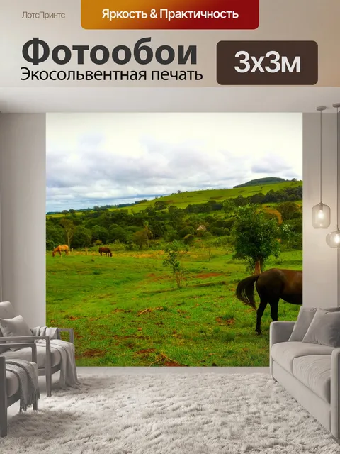 Фотообои Лошадь
