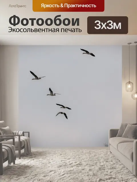 Фотообои Дикие гуси