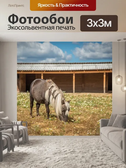 Фотообои Лошади