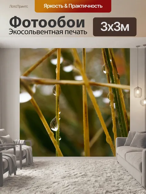 Фотообои Туман