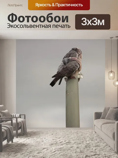 Фотообои Голуби