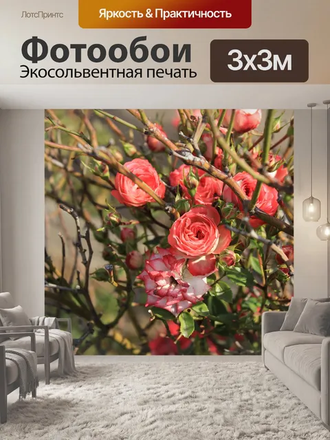 Фотообои Розы