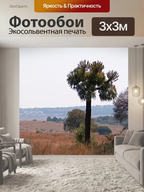 Фотообои Высокое дерево в лугах