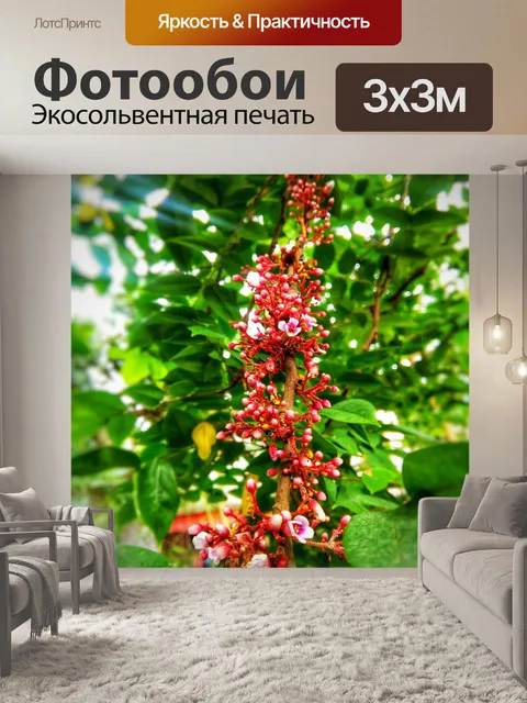 Фотообои Дерево