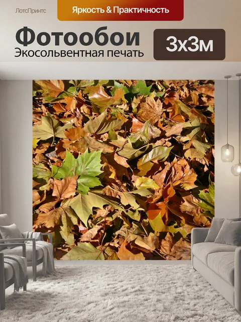 Фотообои Осенние листья