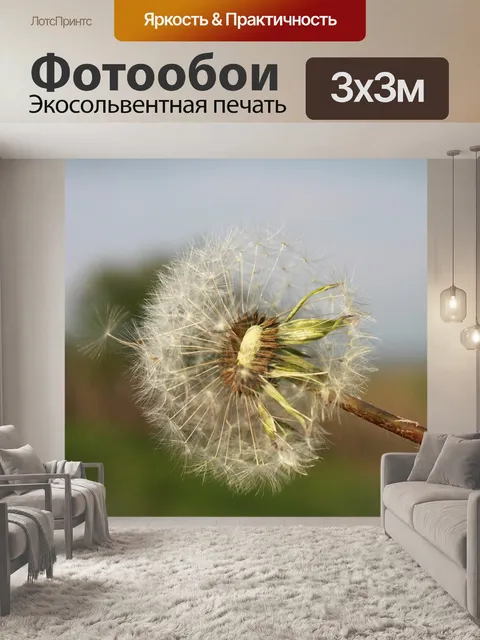 Фотообои Одуванчик