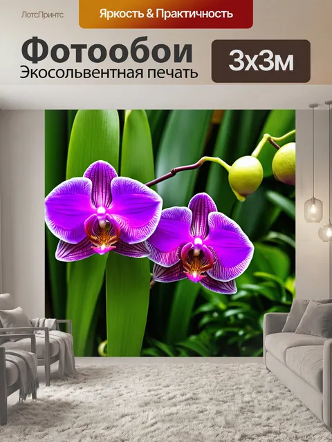 Фотообои элегантные орхидеи в уединенном саду