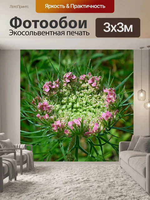 Фотообои Цветы