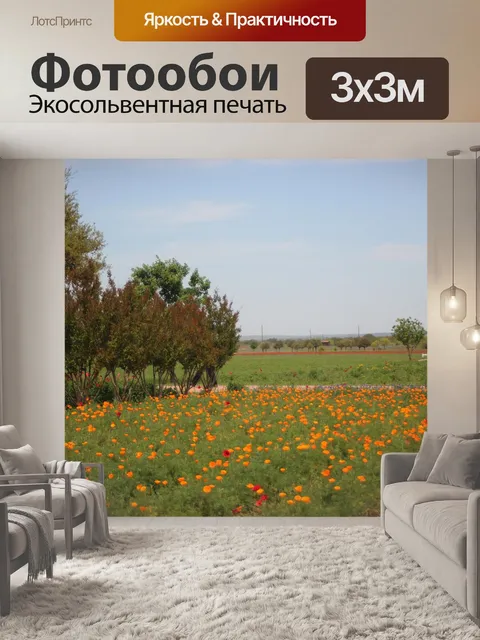 Фотообои Маки