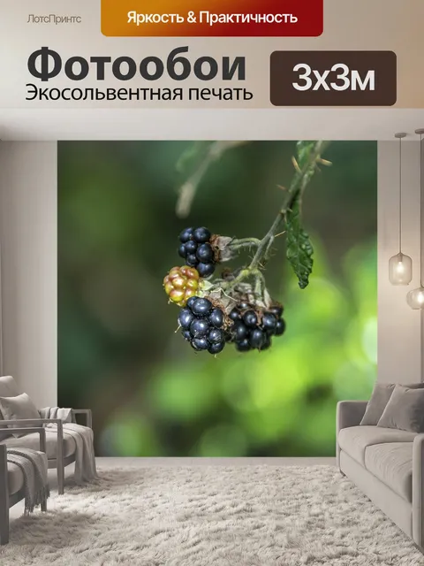 Фотообои Ягода