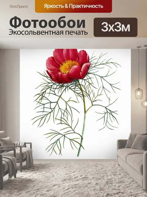 Фотообои Цветок красный винтаж старый