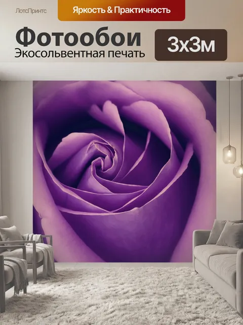 Фотообои Цветок розы Цветок