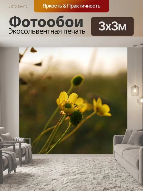 Фотообои Луговой лютик