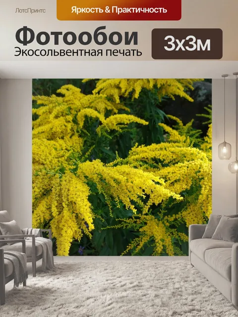 Фотообои Золотарник