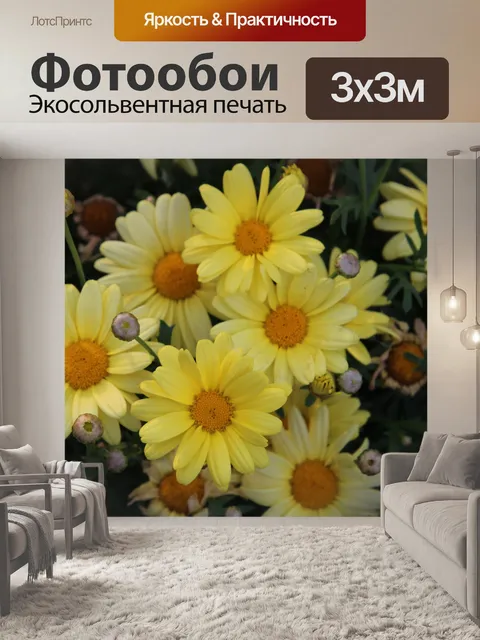 Фотообои Желтые цветы ромашки