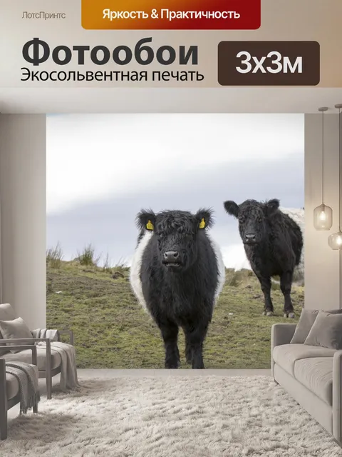 Фотообои Коровы