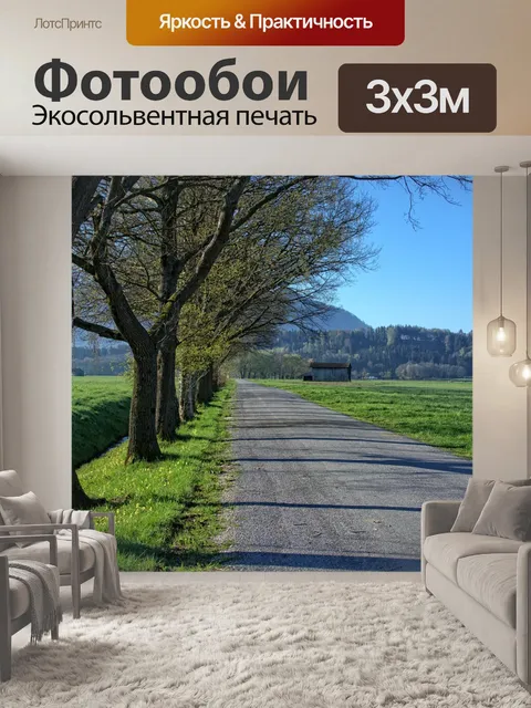 Фотообои Дорога
