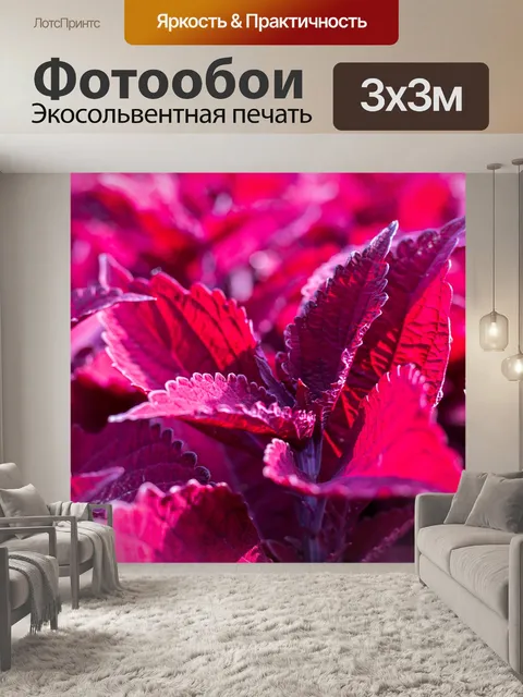 Фотообои Листья