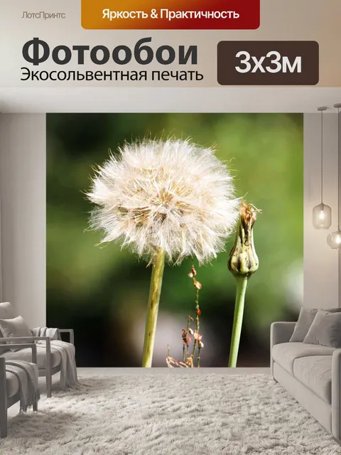 Фотообои Цветы