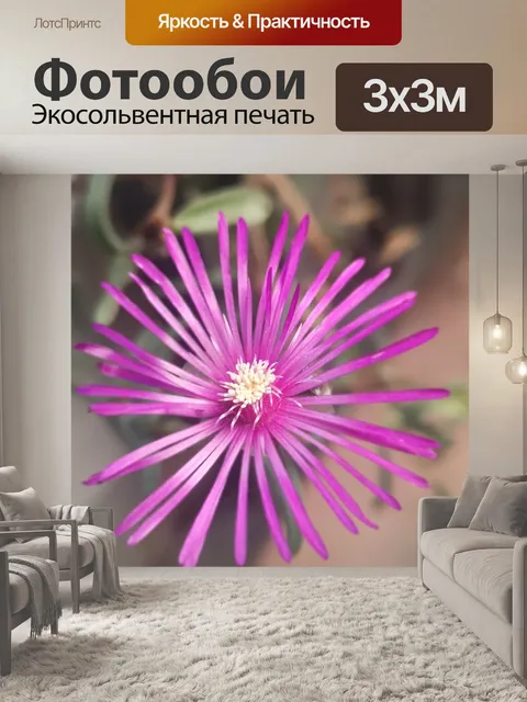 Фотообои Магия