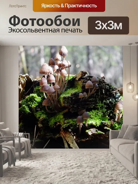 Фотообои Лес