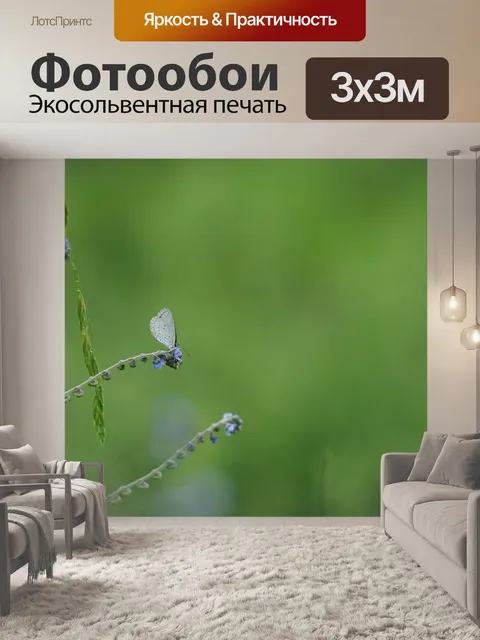 Фотообои Бабочка