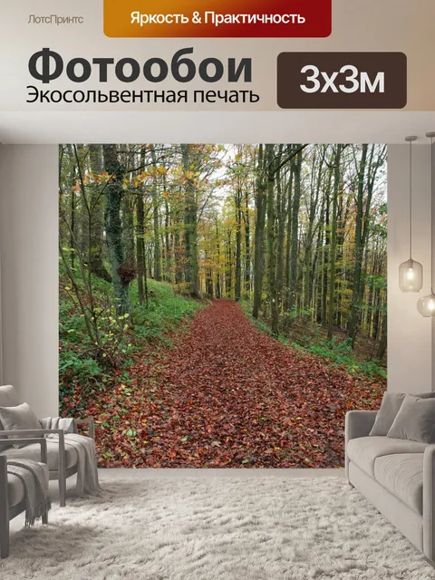 Фотообои Дорожка