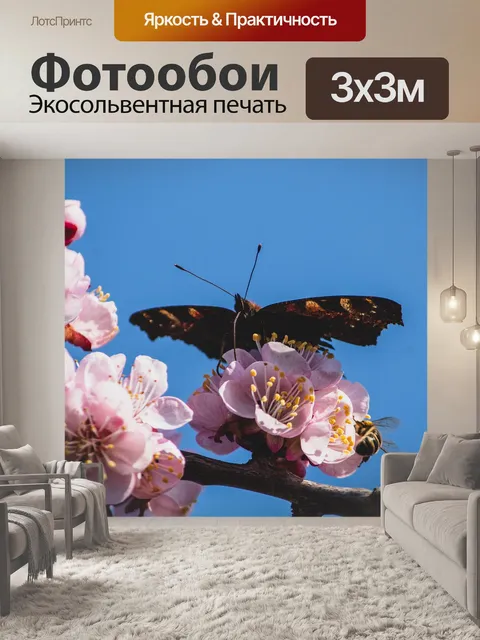 Фотообои Бабочка