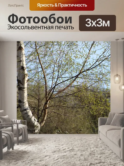 Фотообои Природа