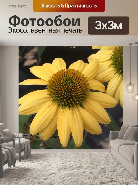 Фотообои Цветок