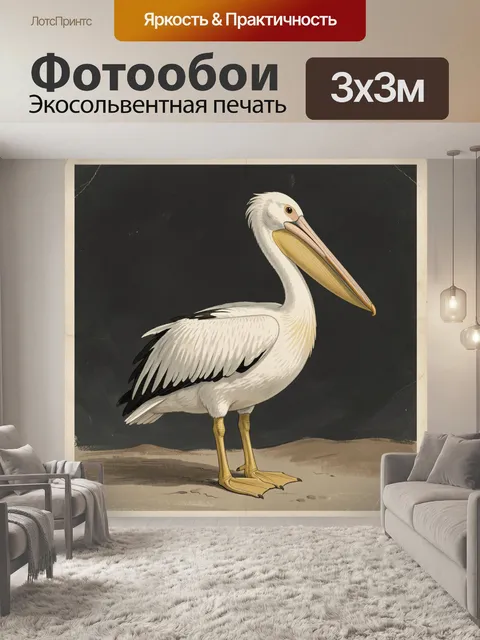 Фотообои Белый пеликан на темном фоне
