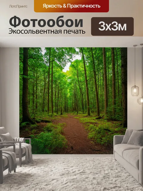 Фотообои лес с чувством безмятежности и внутреннего покоя