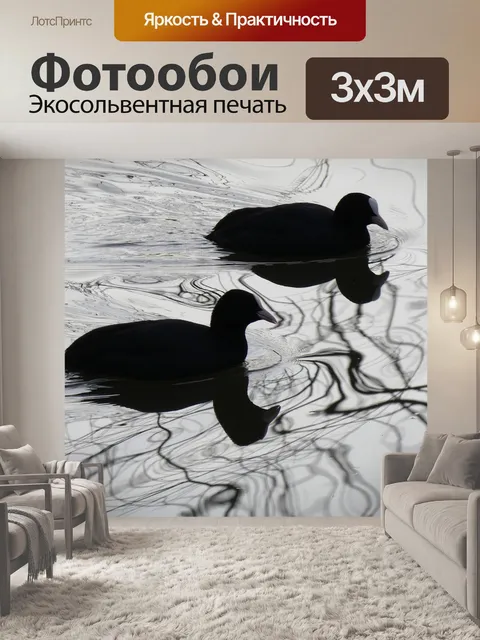 Фотообои Птицы