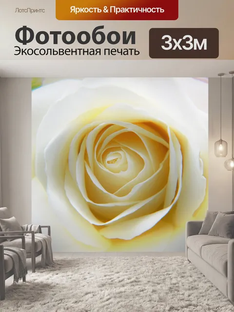 Фотообои Розы