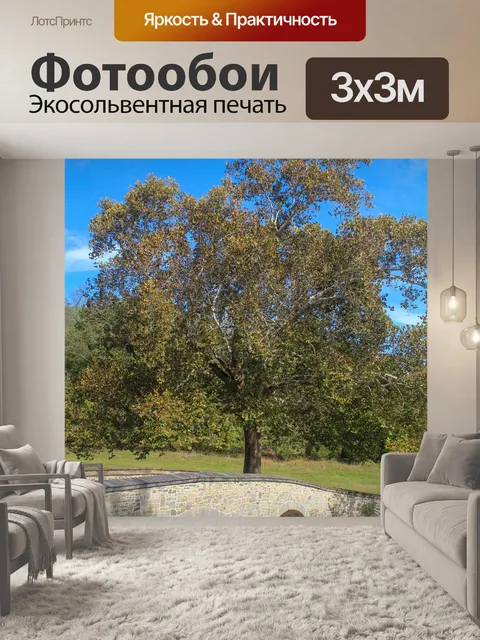 Фотообои Антиетэм