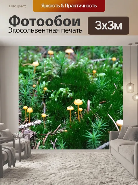 Фотообои Лес
