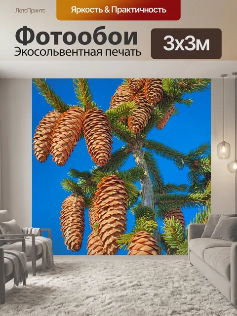 Фотообои еловые шишки на дереве